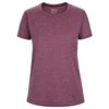 Arcteryx DAMEN T-SHIRT TAEMA