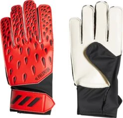 ADIDAS KINDER TORWART-HANDSCHUHE PREDATOR TRAINING