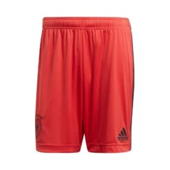 ADIDAS DFB TORWART-HEIMSHORTS