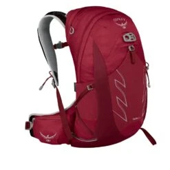 Osprey UNISEX RUCKSACK TALON 22